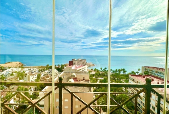 Resale - Apartment / flat - Torrevieja - Los Frutales