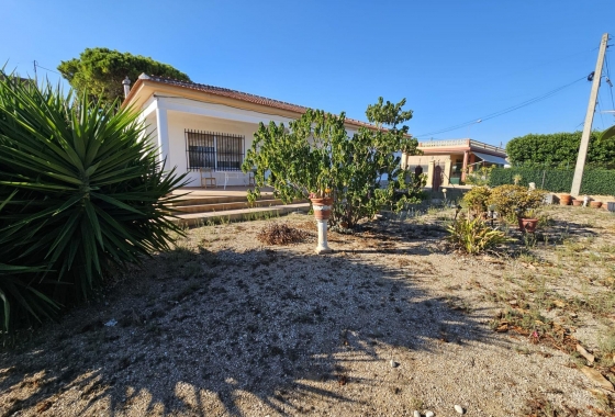 Resale - Finca - Guardamar del Segura - Buenavista