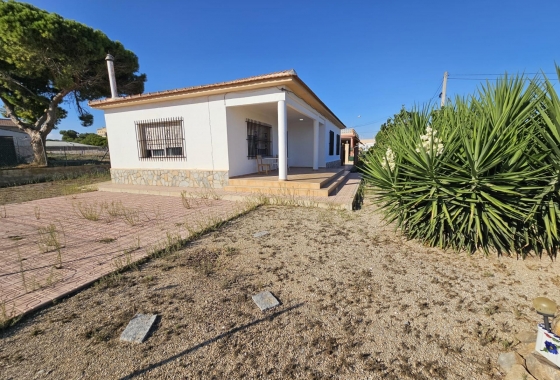 Resale - Finca - Guardamar del Segura - Buenavista