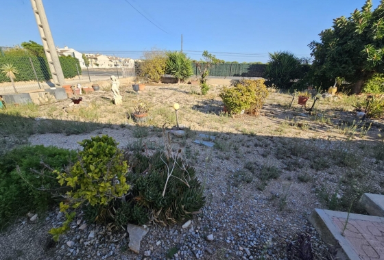 Resale - Finca - Guardamar del Segura - Buenavista