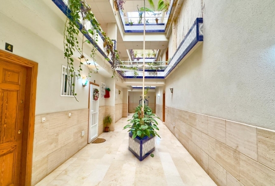 Wiederverkauf - Penthouse - Torrevieja - Centro