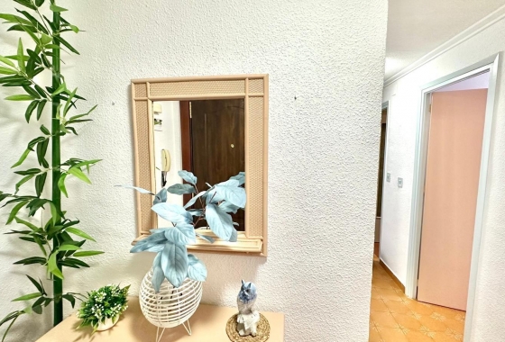 Resale - Penthouse - Torrevieja - Centro