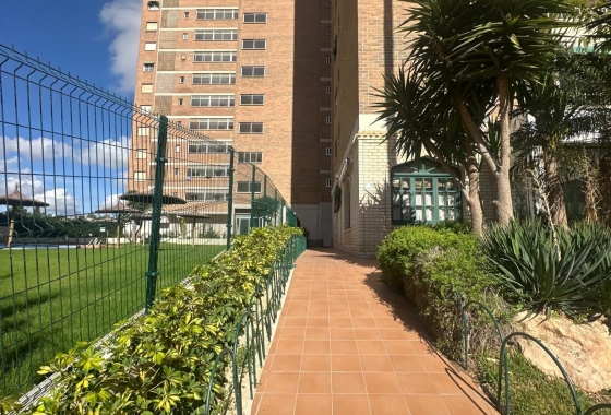 Resale - Apartment / flat - Orihuela Costa - Campoamor