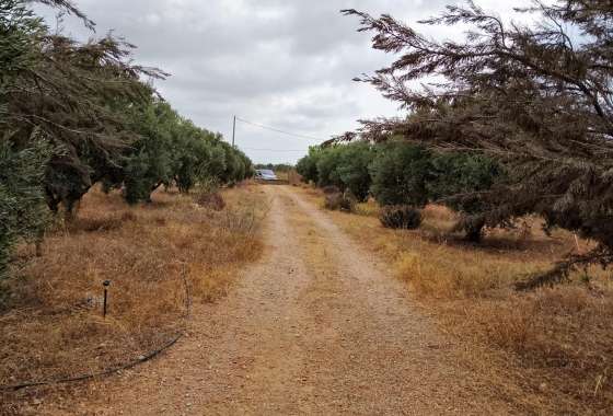 Resale - Finca - Cartagena - La Magdalena