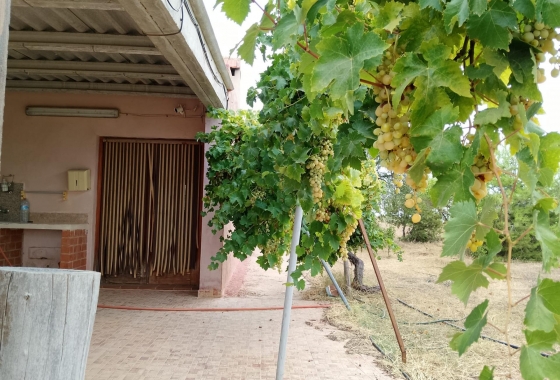 Resale - Finca - Cartagena - La Magdalena