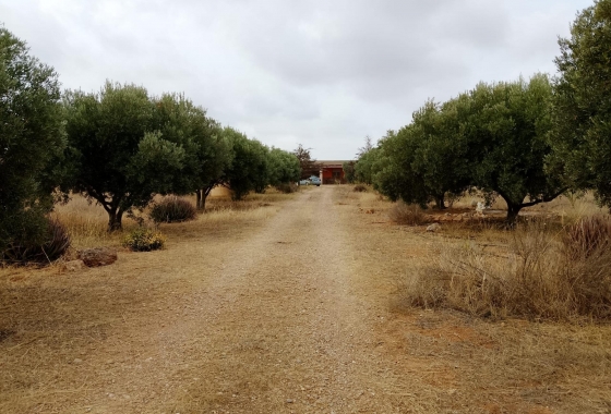 Resale - Finca - Cartagena - La Magdalena