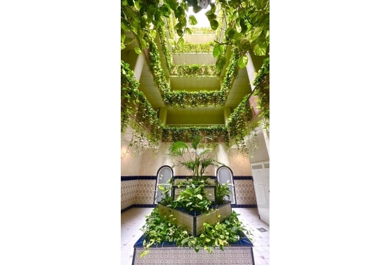 Wiederverkauf - Penthouse - Torrevieja - Centro