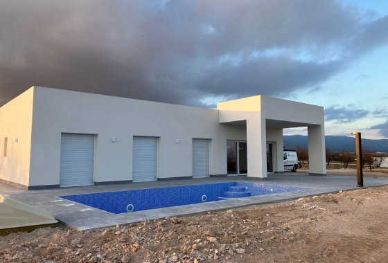 Новостройка - Дом - Pinoso