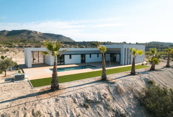 New Build - Chalet - Pinoso