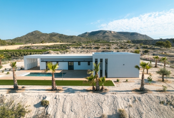 New Build - Chalet - Pinoso