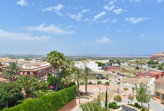 Resale - Apartment / flat - San Miguel de Salinas - Inland