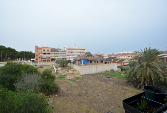 Resale - Apartment / flat - Guardamar del Segura - Costa Blanca