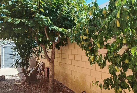 Resale - Villa - La Romana - Inland