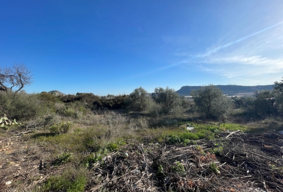 Resale - Finca - Aspe - Inland