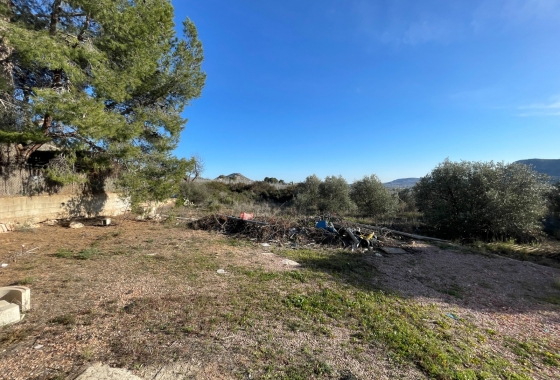 Resale - Finca - Aspe - Inland