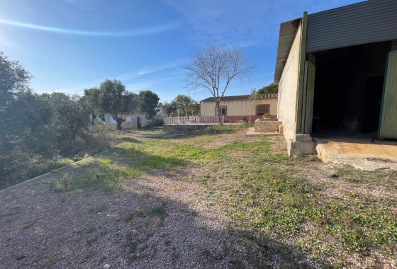Resale - Finca - Aspe - Inland
