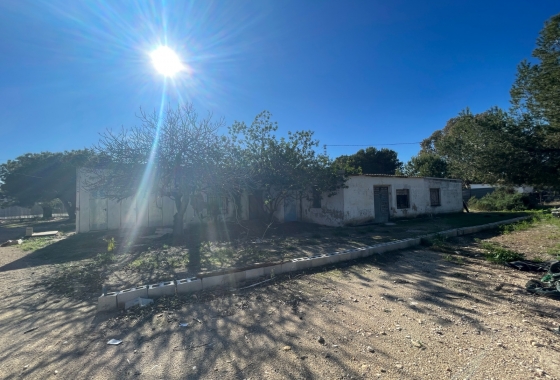 Resale - Finca - Elche - Costa Blanca