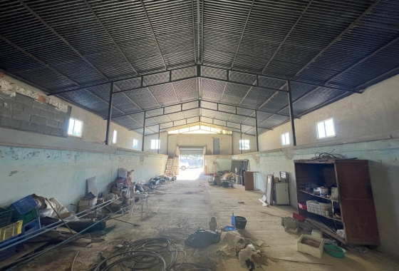 Resale - Finca - Elche - Costa Blanca