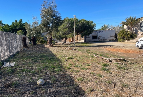 Resale - Finca - Elche - Costa Blanca