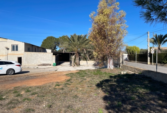 Resale - Finca - Elche - Costa Blanca