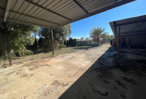 Resale - Finca - Elche - Costa Blanca