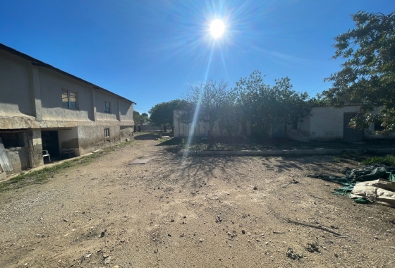 Resale - Finca - Elche - Costa Blanca