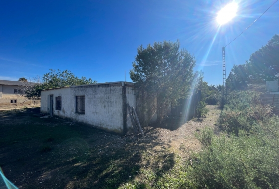 Resale - Finca - Elche - Costa Blanca