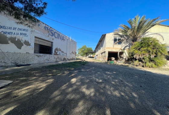 Resale - Finca - Elche - Costa Blanca