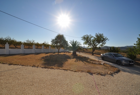 Resale - Finca - Pinoso - Inland