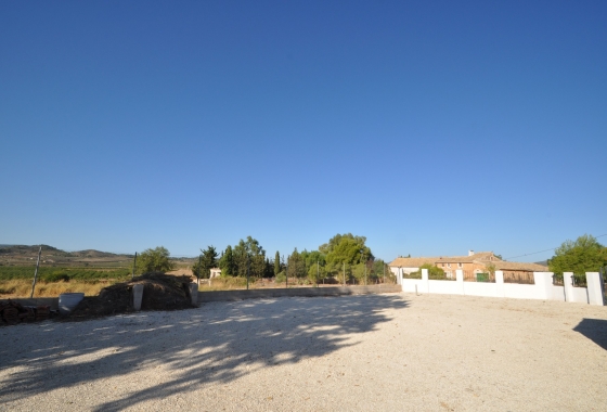 Resale - Finca - Pinoso - Inland