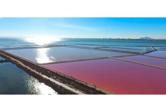 Resale - Villa - Torre de la Horadada - Costa Blanca