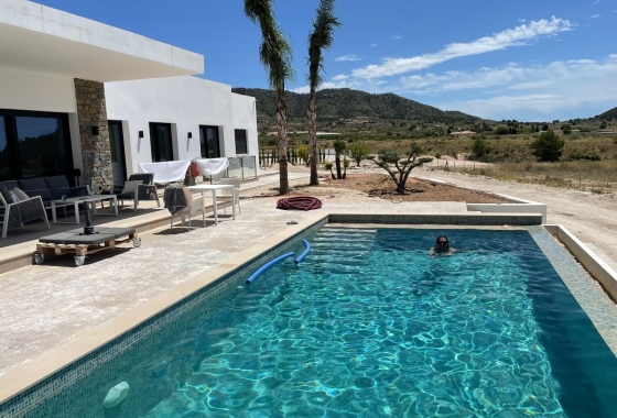 Herverkoop - Villa - Pinoso - Inland