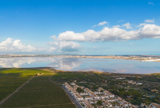 Återförsäljning - Bungalow - Torrevieja - Los Balcones - Los Altos del Edén