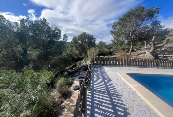 Återförsäljning - Finca - Torremendo - Costa Blanca