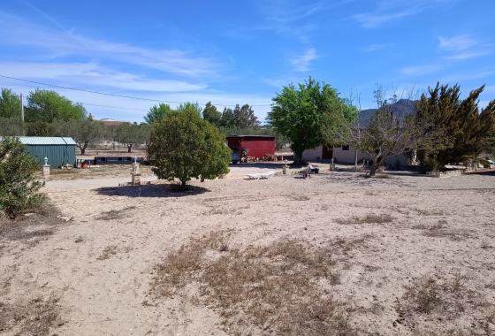 Återförsäljning - Villa - Salinas - Inland