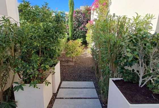 Resale - Villa - Algorfa - Inland