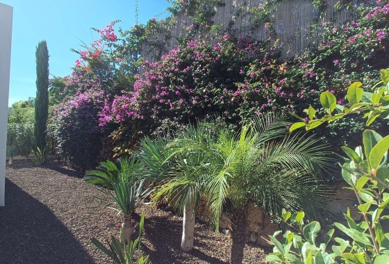 Resale - Villa - Algorfa - Inland