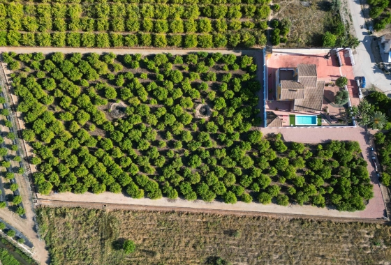 Resale - Finca - Orihuela - Inland