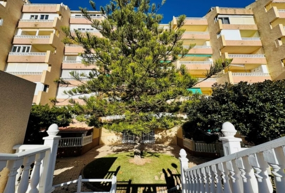 Resale - Penthouse - La Mata - Alanis