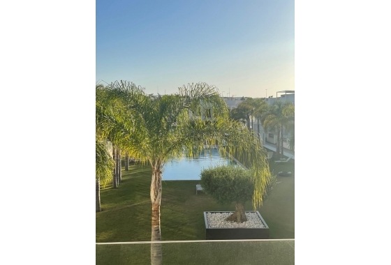 Återförsäljning - Lägenhet / lägenhet - Torrevieja - Costa Blanca