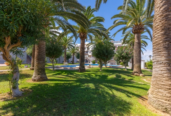 Resale - Apartment / flat - La Mata - Costa Blanca