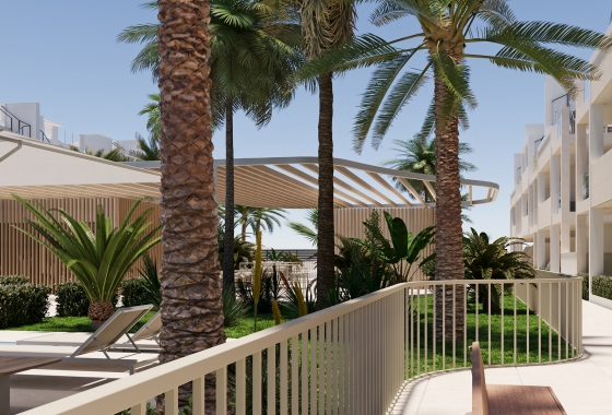 New Build - Apartment / flat - Torre Pacheco - Torre-Pacheco