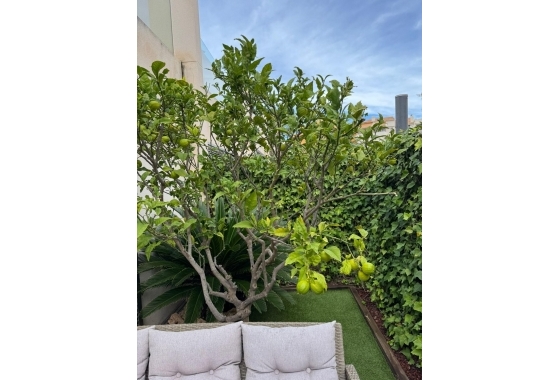 Resale - Townhouse - Torrevieja - Punta Prima