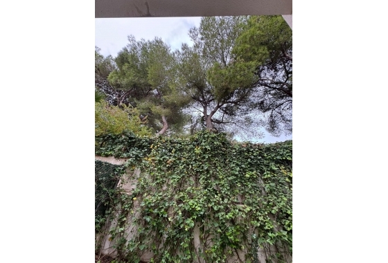 Resale - Townhouse - Torrevieja - Punta Prima