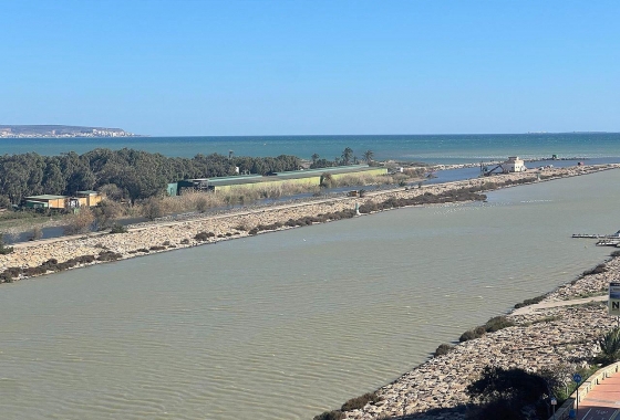 Перепродажа - Пентхаус - Guardamar del Segura - Puerto Deportivo