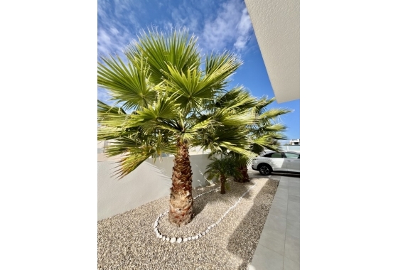 Resale - Villa - Benijofar - Costa Blanca