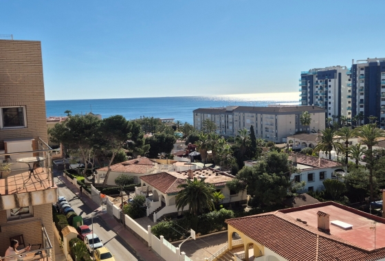 Resale - Penthouse - Torrevieja - Punta Prima