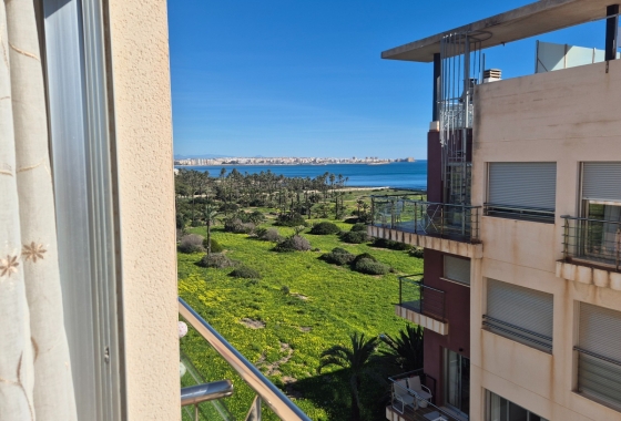 Resale - Penthouse - Torrevieja - Punta Prima