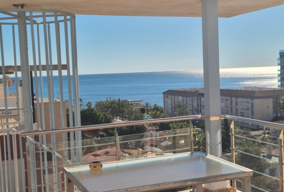 Resale - Penthouse - Torrevieja - Punta Prima