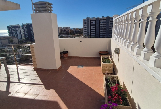 Resale - Penthouse - Torrevieja - Punta Prima